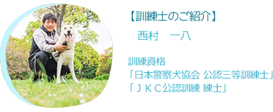 泉州ドッグスクールいっぱち 飼い主と犬をつなぐう通訳 犬 のしつけ 出張訓練 預かり訓練など大切なわんちゃんのそれぞれの性格に合った訓練いたします 散歩代行 ペットホテルも承っております