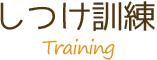 しつけ訓練,Training