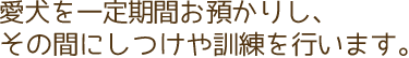 愛犬を一定期間お預かりし、その間にしつけや訓練を行います。